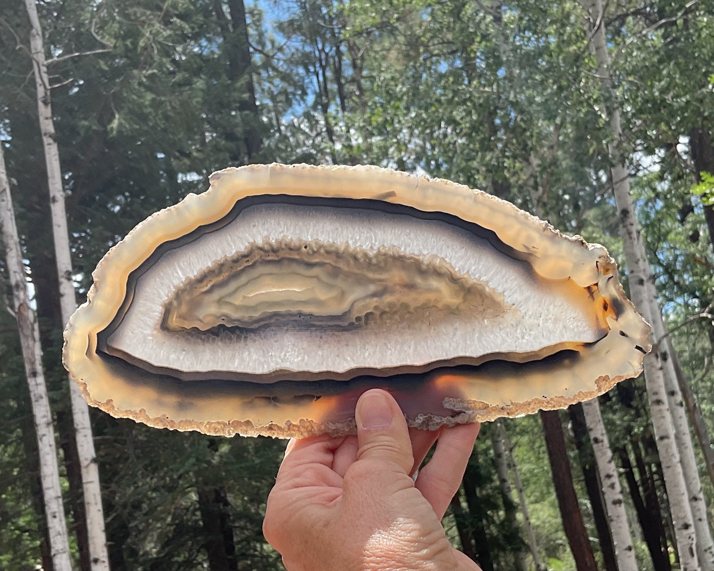 Gleaming Translucency Brazilian Agate Slice