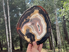 Stunningly Beautiful Brazilian Agate Slice