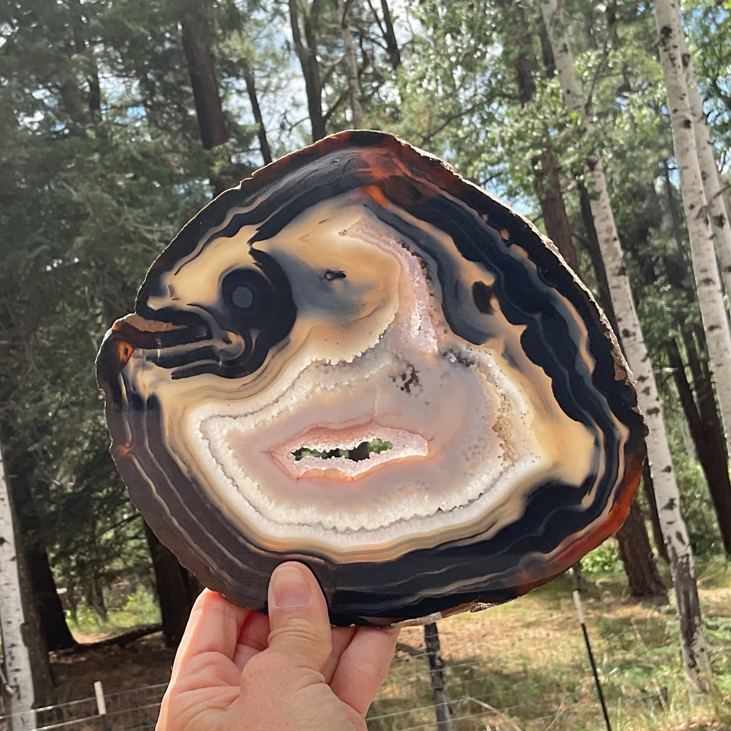 Stunningly Beautiful Brazilian Agate Slice