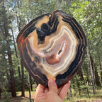 Stunningly Beautiful Brazilian Agate Slice