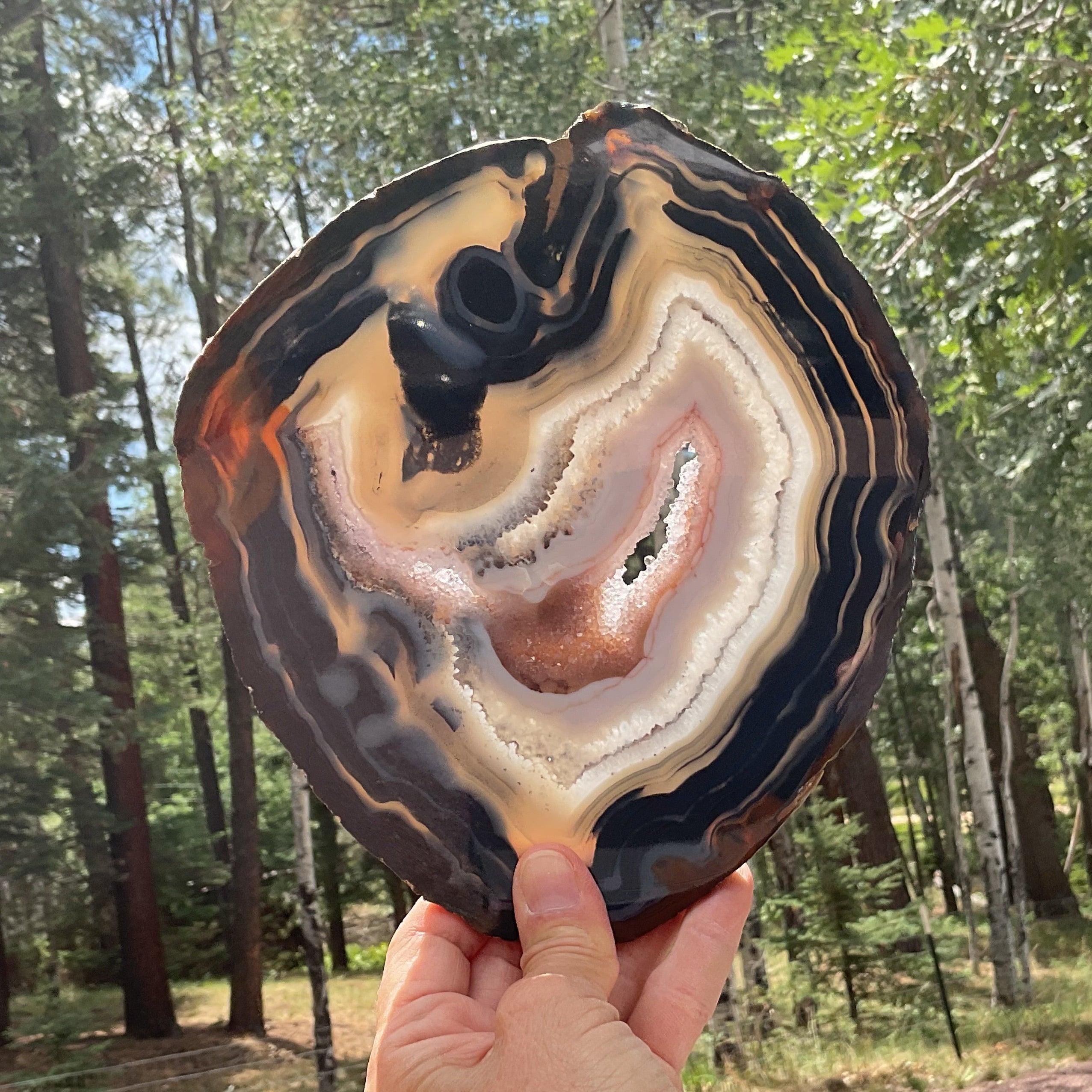 Stunningly Beautiful Brazilian Agate Slice