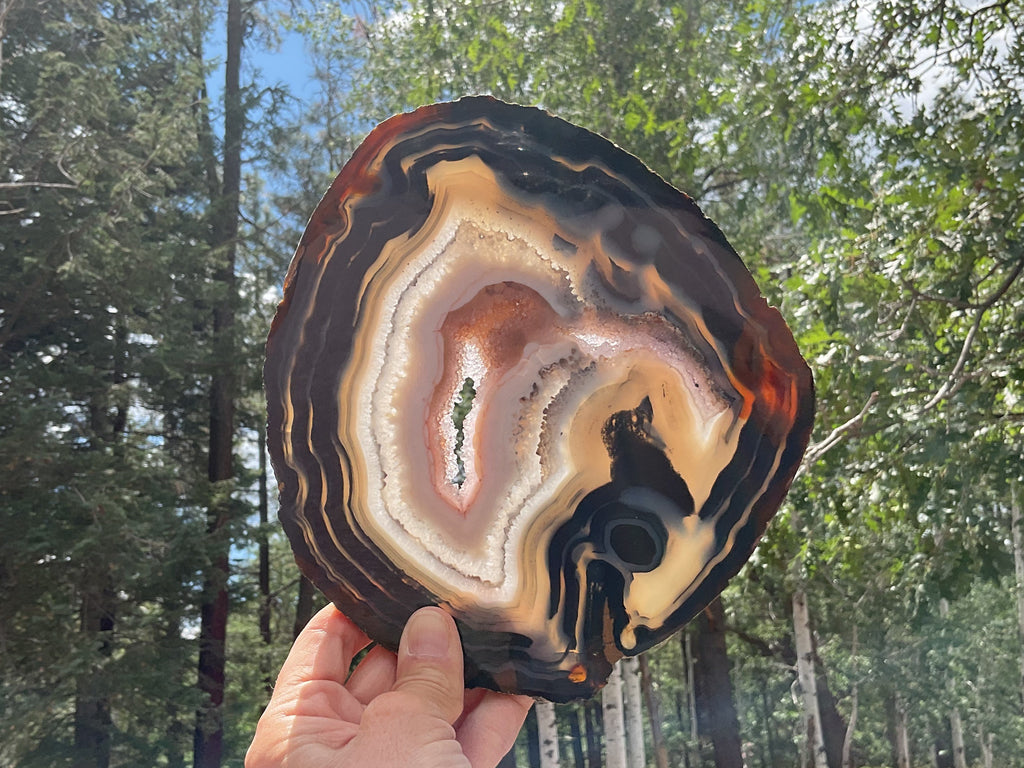 Stunningly Beautiful Brazilian Agate Slice