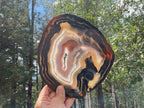 Stunningly Beautiful Brazilian Agate Slice