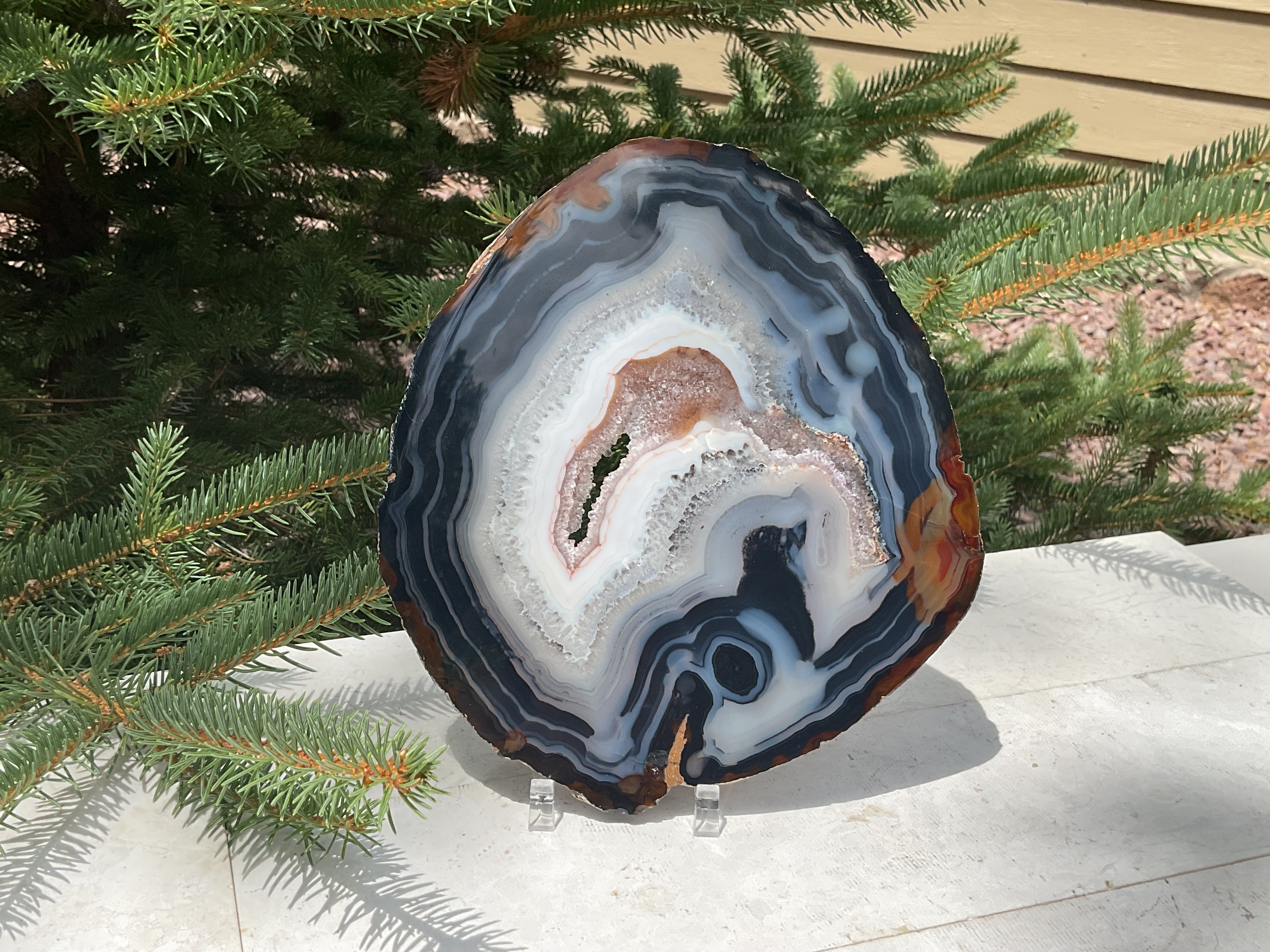 Stunningly Beautiful Brazilian Agate Slice
