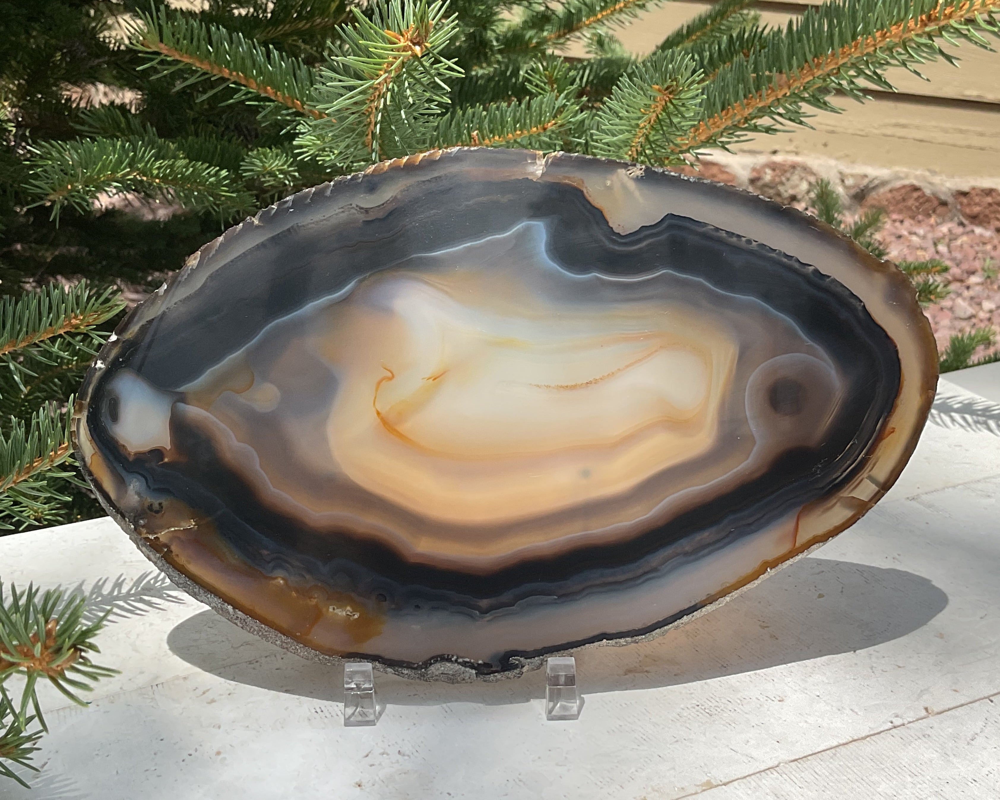 Loads of Banding Brazilian Agate Slice