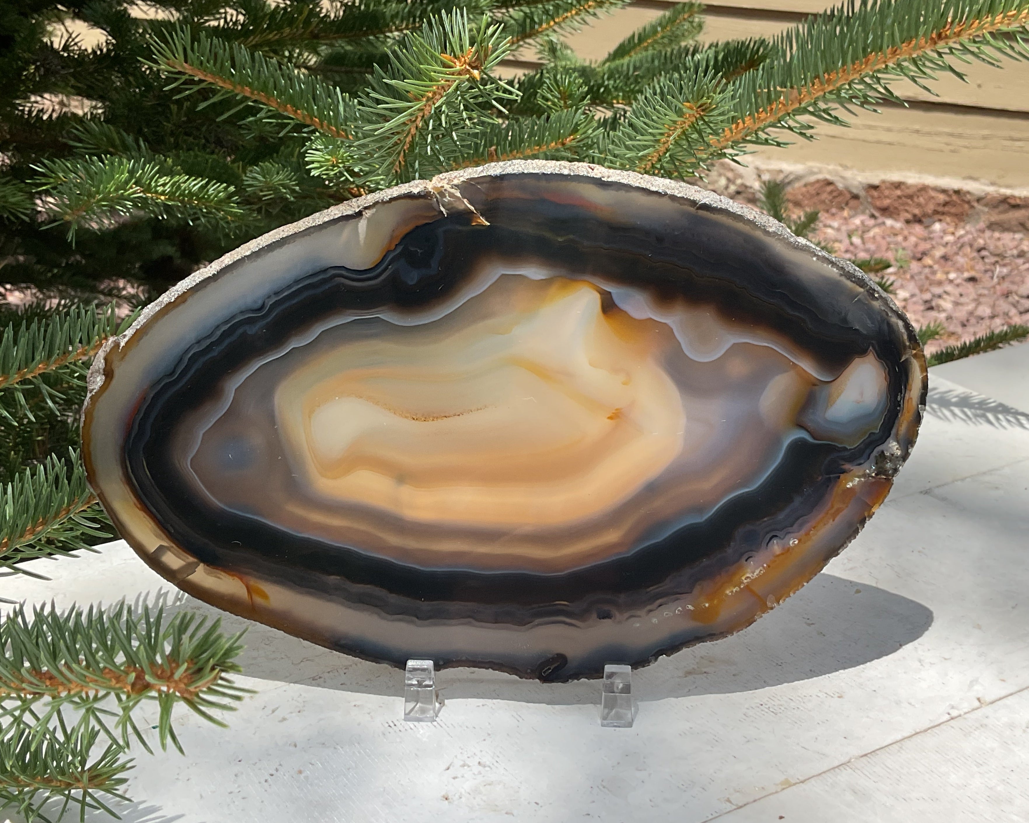 Loads of Banding Brazilian Agate Slice