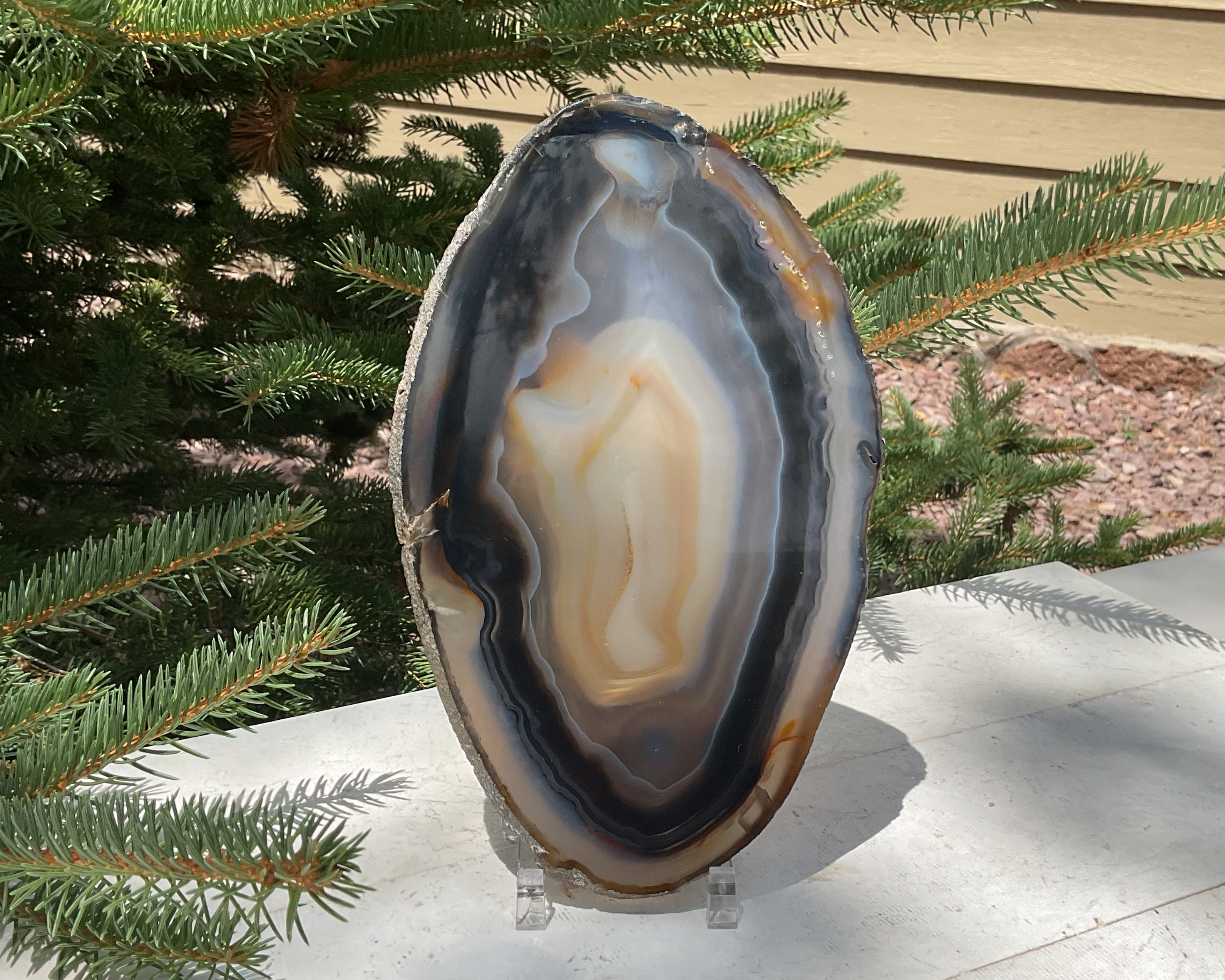 Loads of Banding Brazilian Agate Slice
