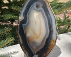 Loads of Banding Brazilian Agate Slice