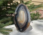 Loads of Banding Brazilian Agate Slice