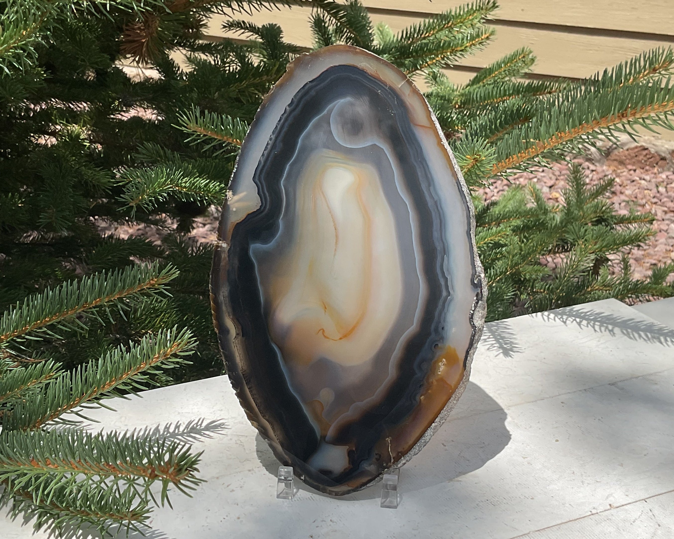 Loads of Banding Brazilian Agate Slice