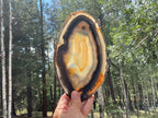 Loads of Banding Brazilian Agate Slice