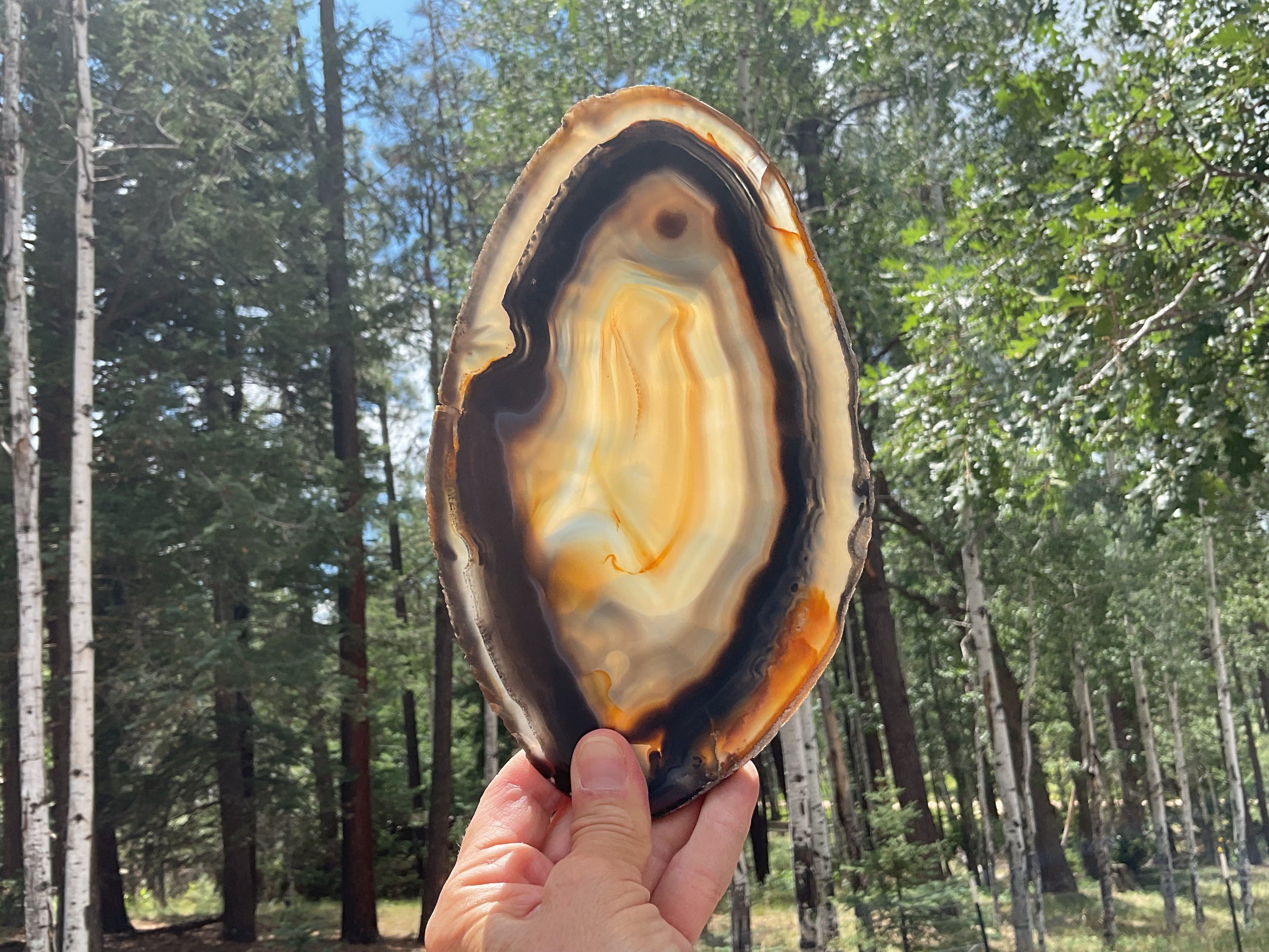 Loads of Banding Brazilian Agate Slice