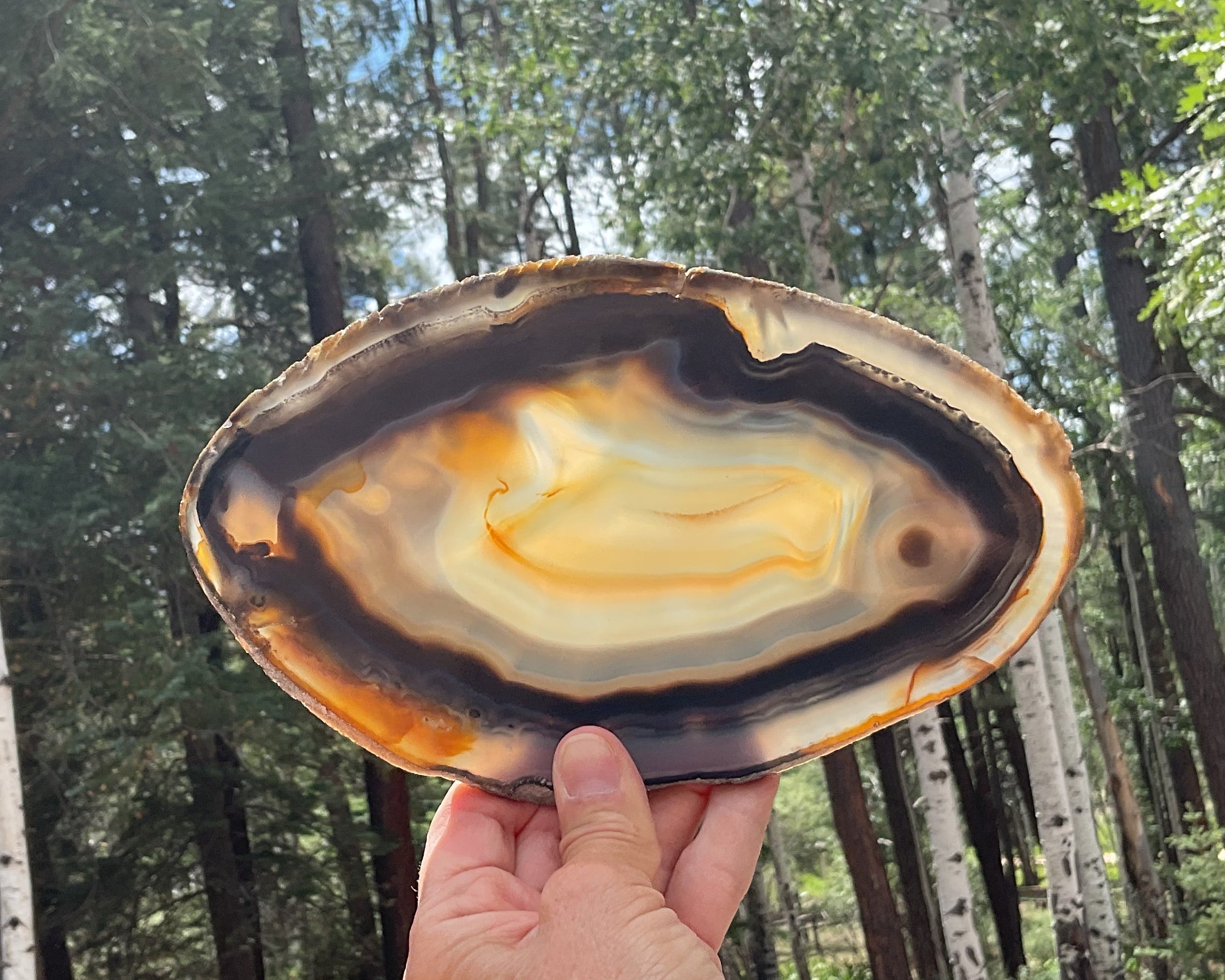 Loads of Banding Brazilian Agate Slice