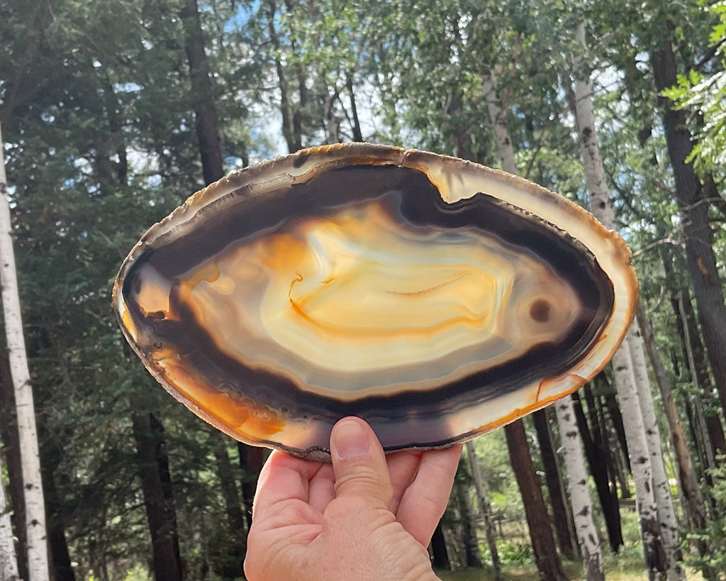 Loads of Banding Brazilian Agate Slice