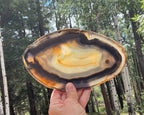Loads of Banding Brazilian Agate Slice