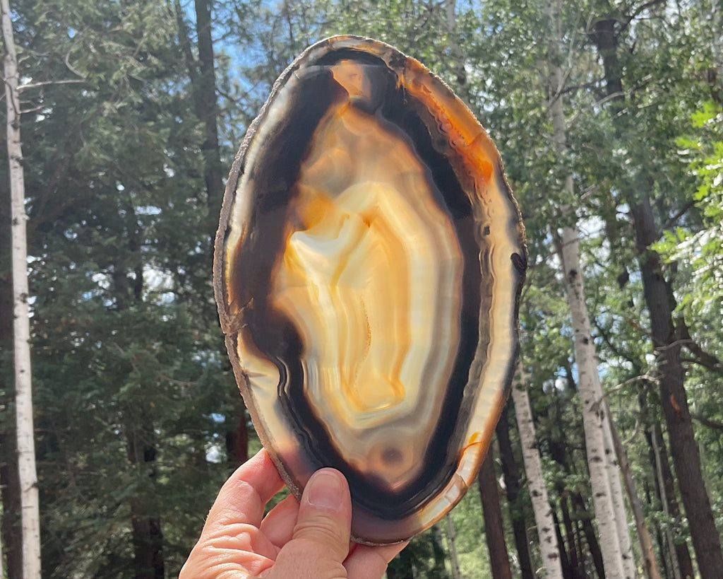 Loads of Banding Brazilian Agate Slice