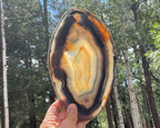 Loads of Banding Brazilian Agate Slice