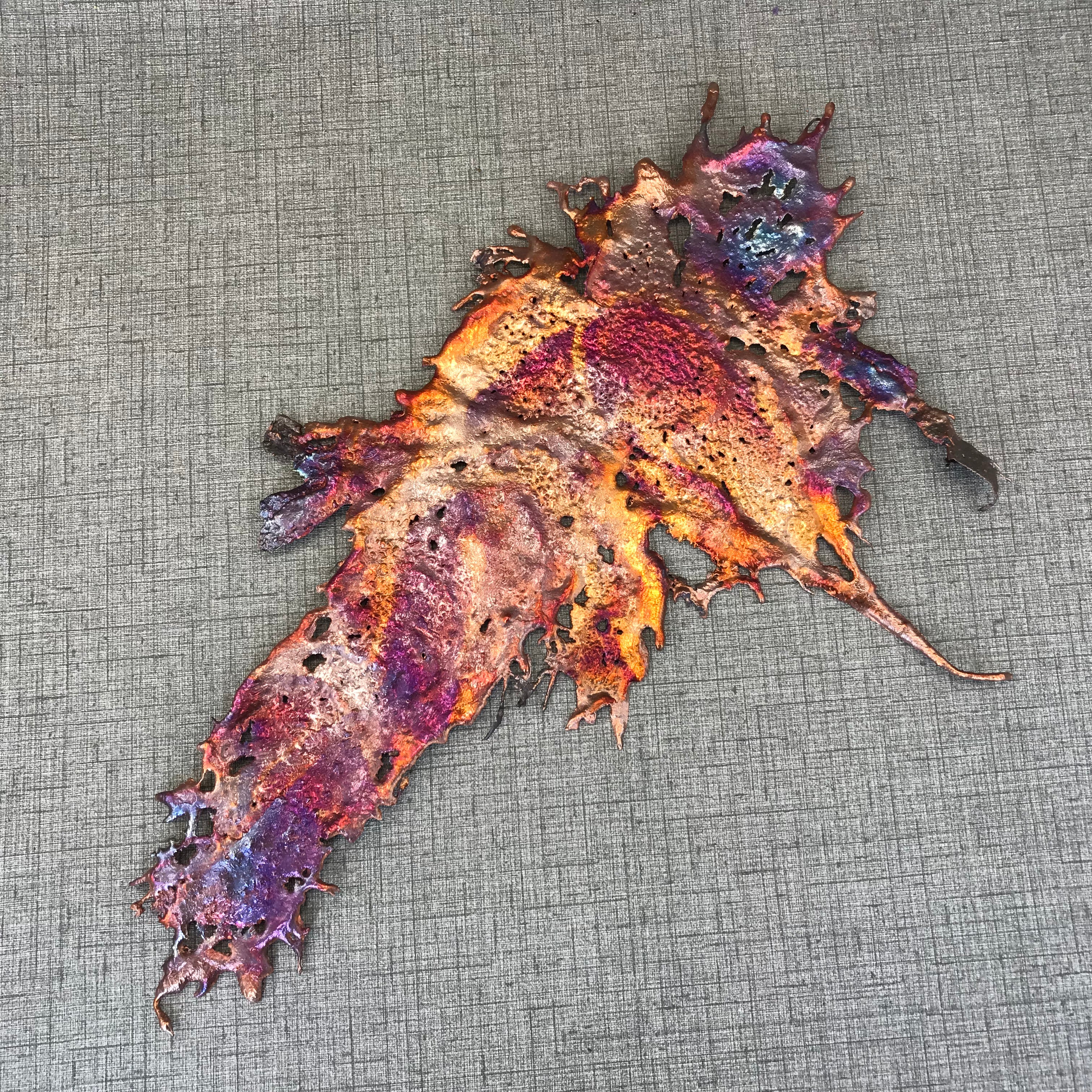 Eccentric Rainbow Splash Copper Art