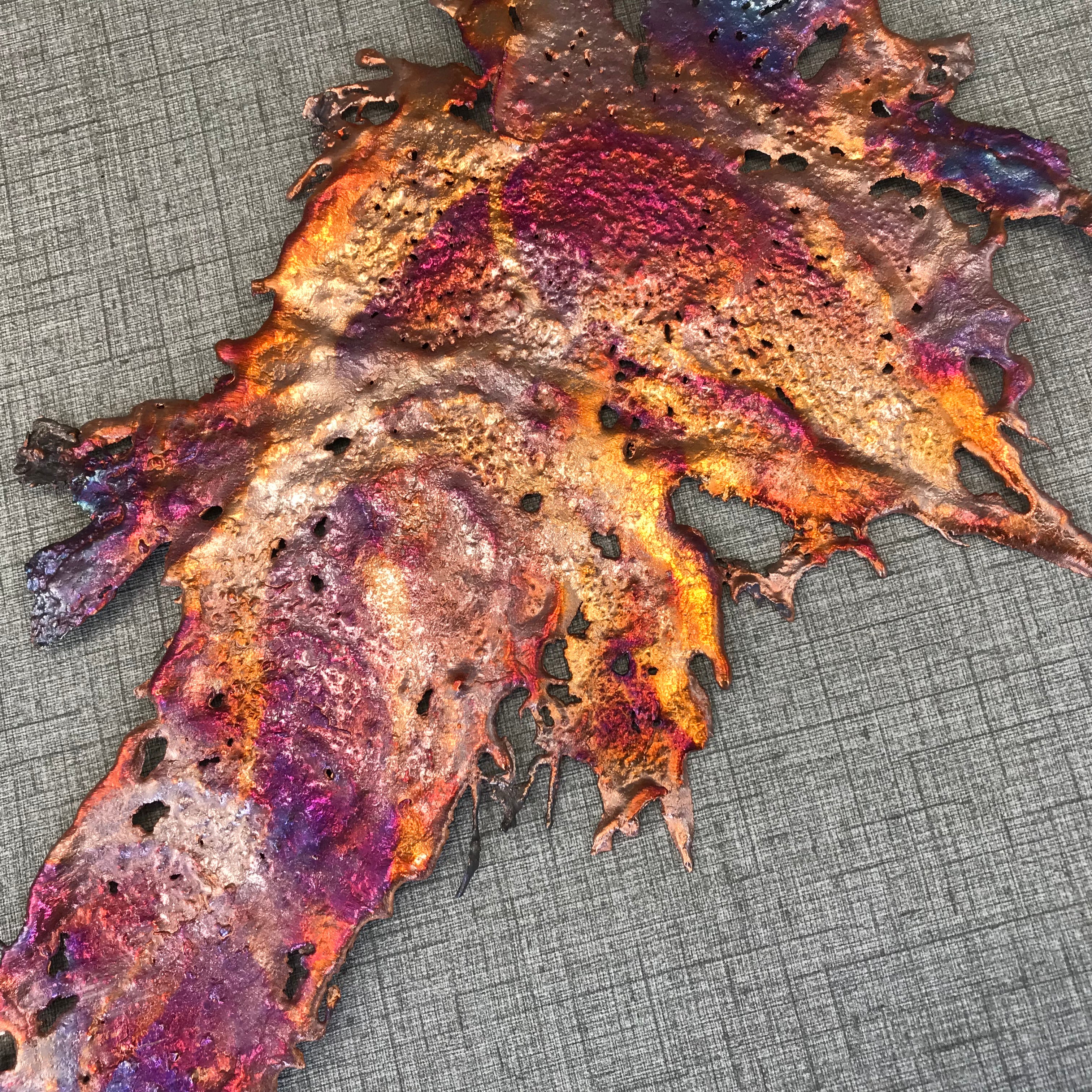 Eccentric Rainbow Splash Copper Art