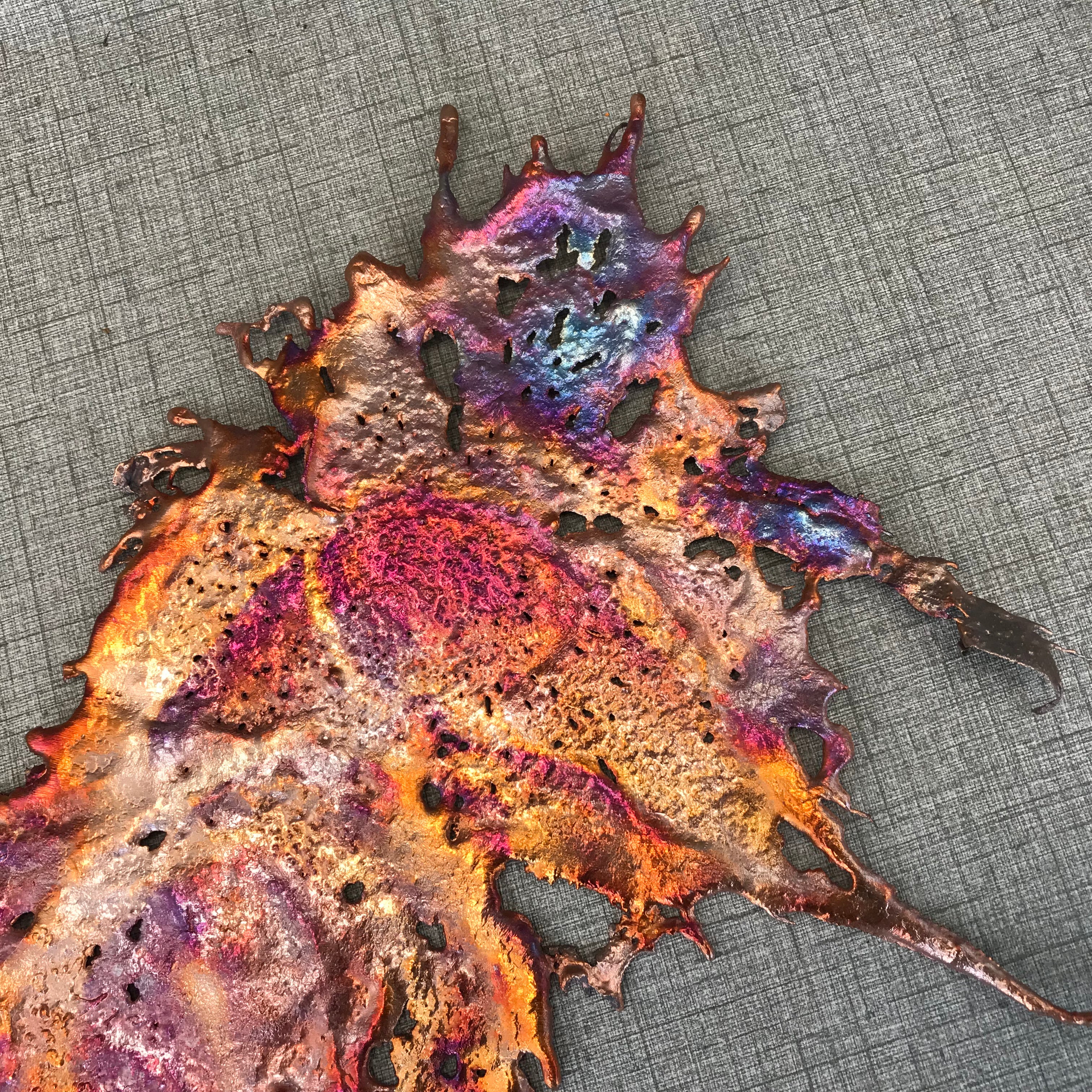 Eccentric Rainbow Splash Copper Art