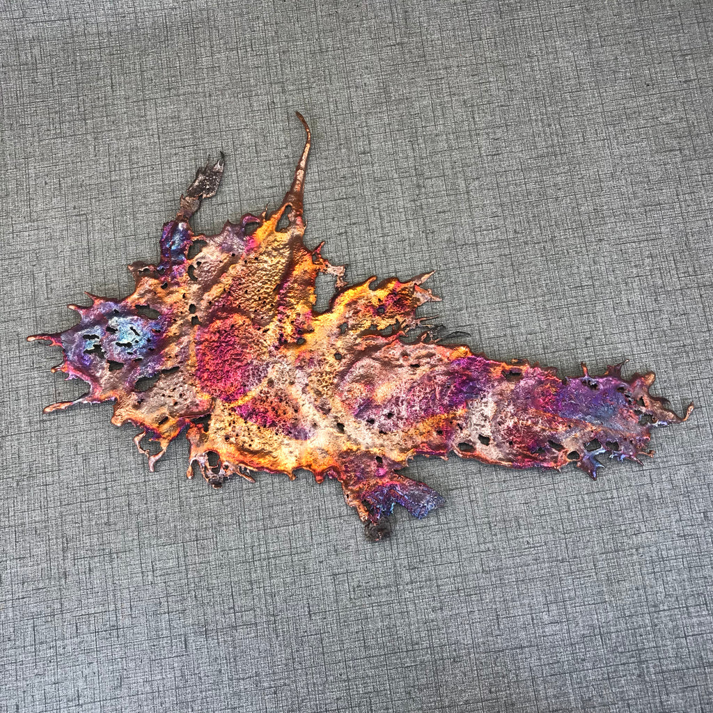 Eccentric Rainbow Splash Copper Art