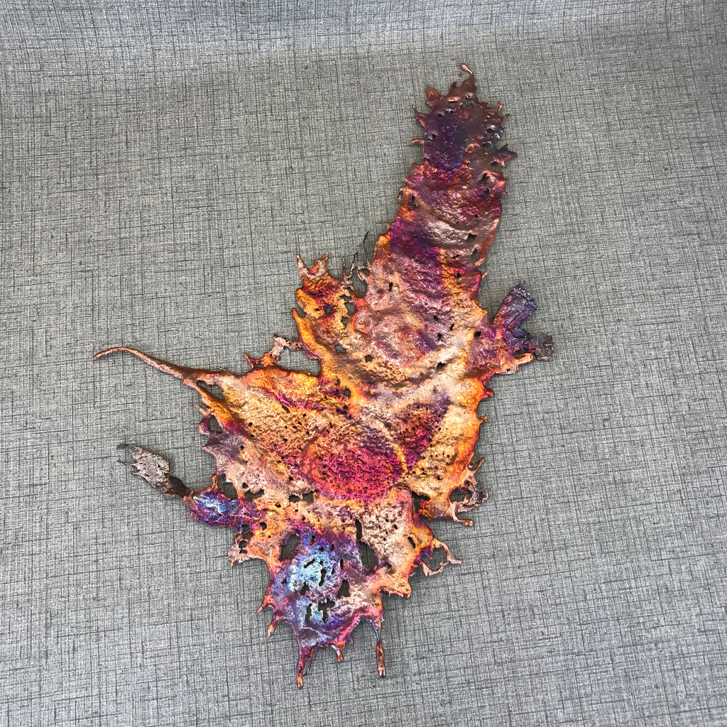 Eccentric Rainbow Splash Copper Art