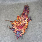 Eccentric Rainbow Splash Copper Art