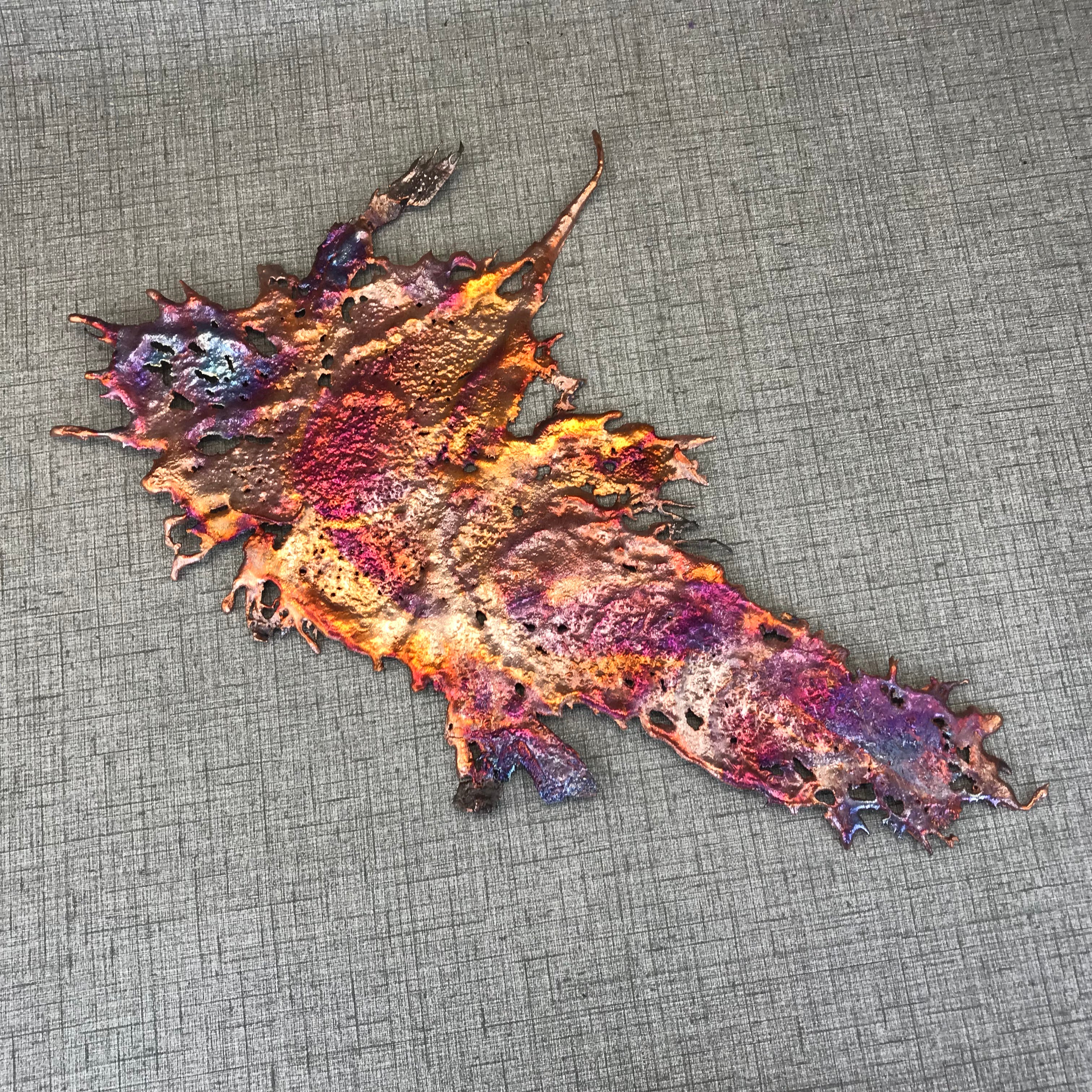 Eccentric Rainbow Splash Copper Art