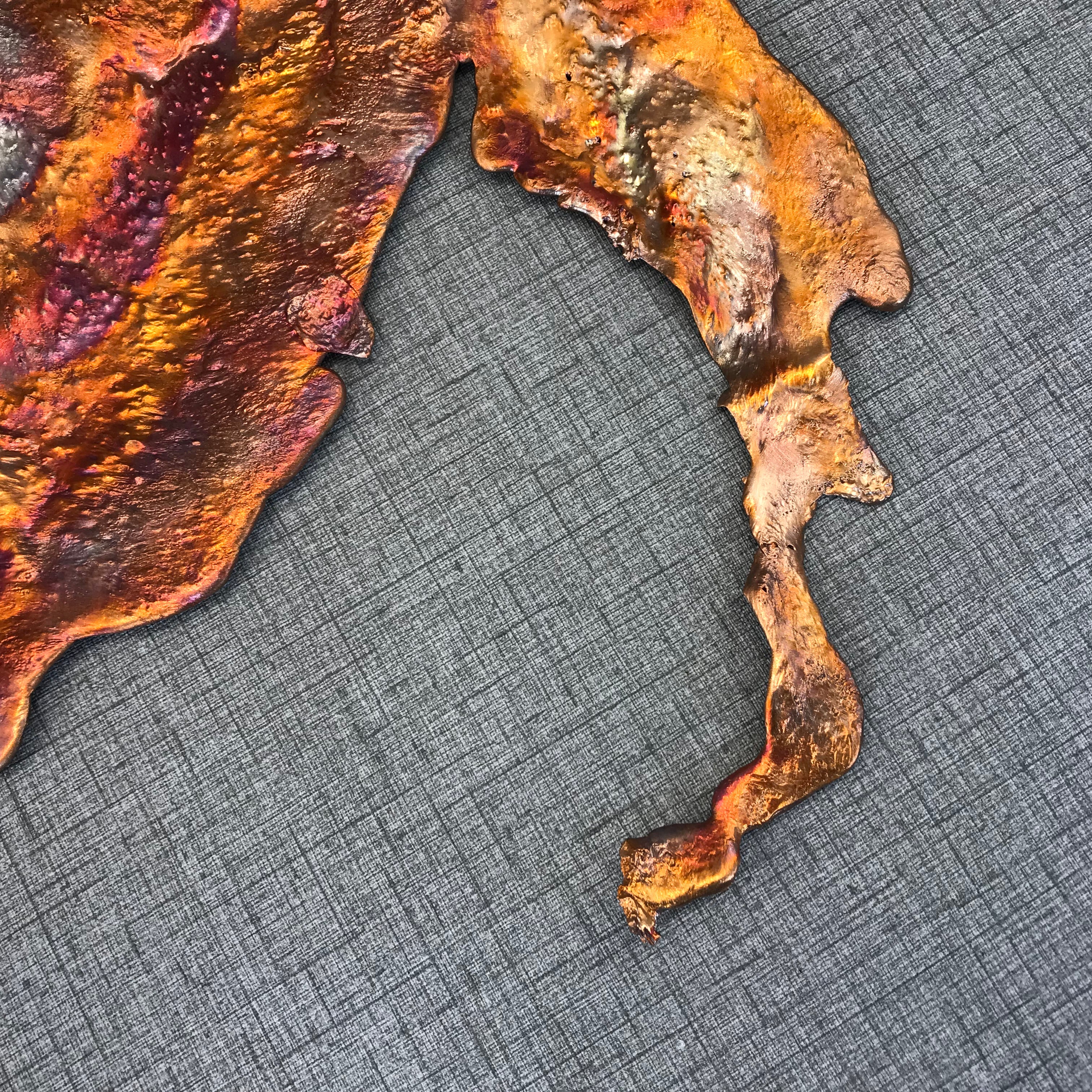 Visions of a Sunset Rainbow Splash Copper Abstract