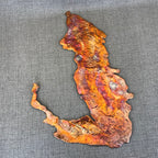 Visions of a Sunset Rainbow Splash Copper Abstract