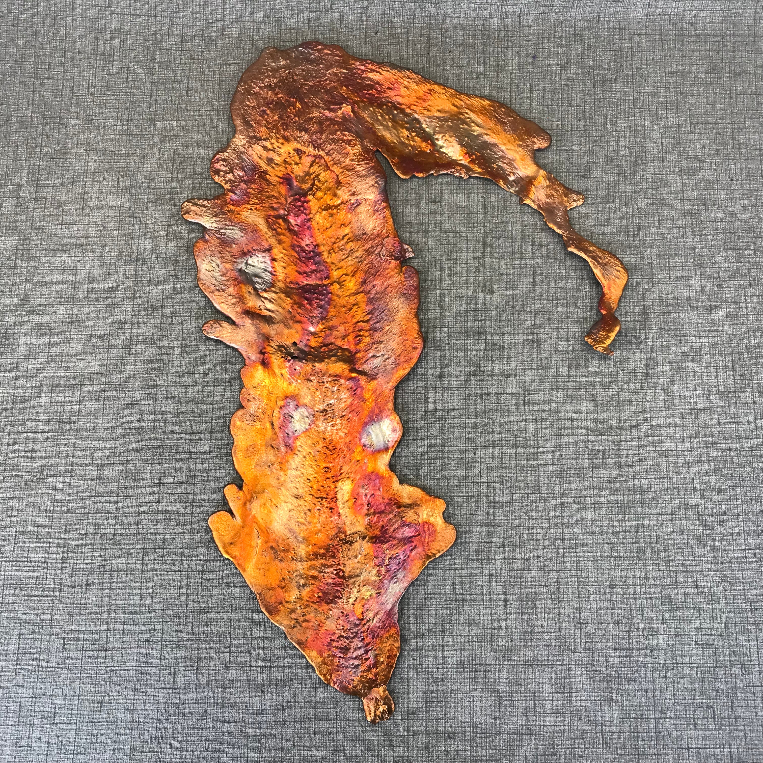 Visions of a Sunset Rainbow Splash Copper Abstract