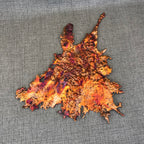 Visions of a Sunset Rainbow Splash Copper Abstract