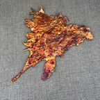 Visions of a Sunset Rainbow Splash Copper Abstract