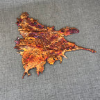 Visions of a Sunset Rainbow Splash Copper Abstract