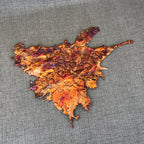 Visions of a Sunset Rainbow Splash Copper Abstract