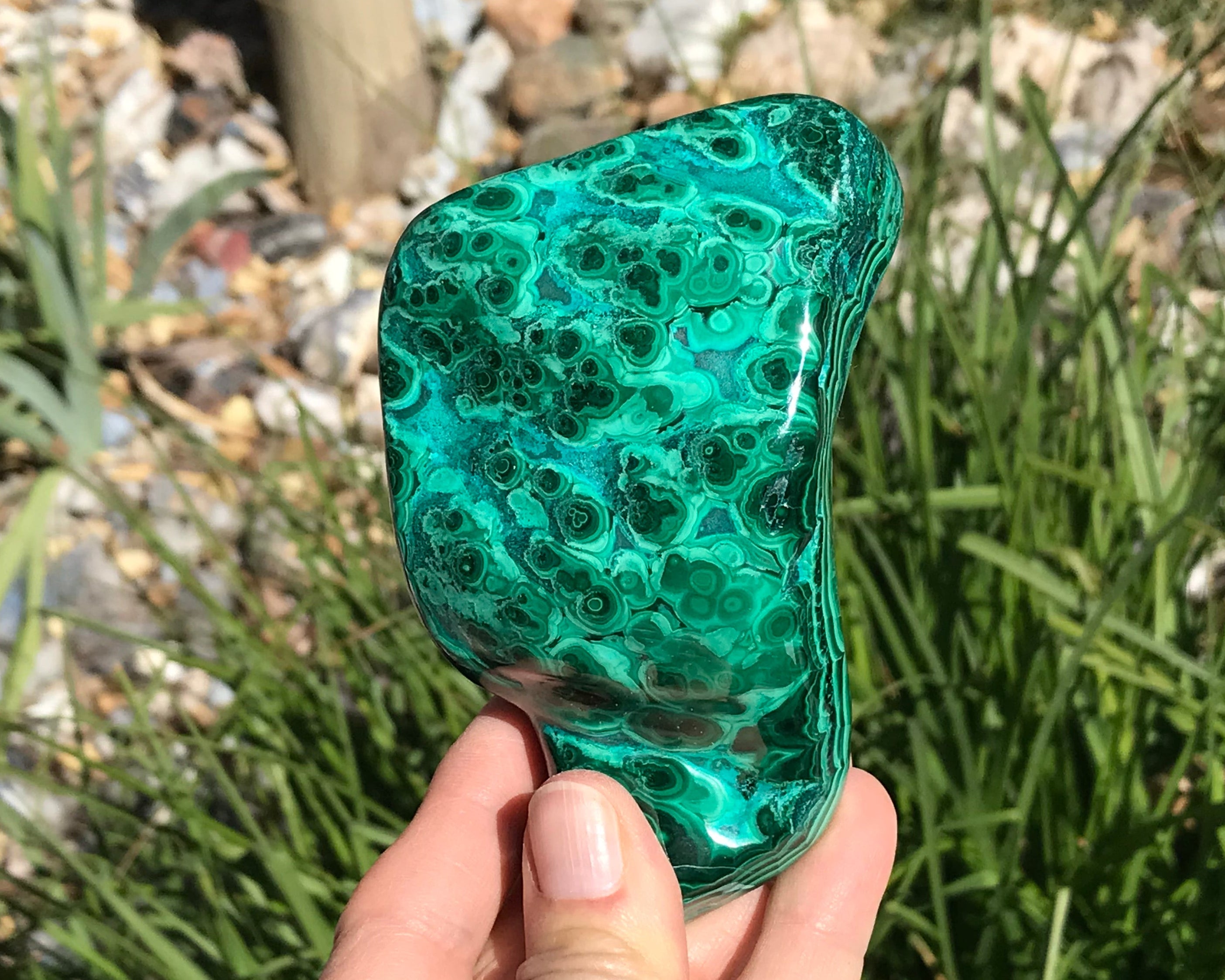 Detailed Turquoise and Green Malachite/Chrysocolla Nodule