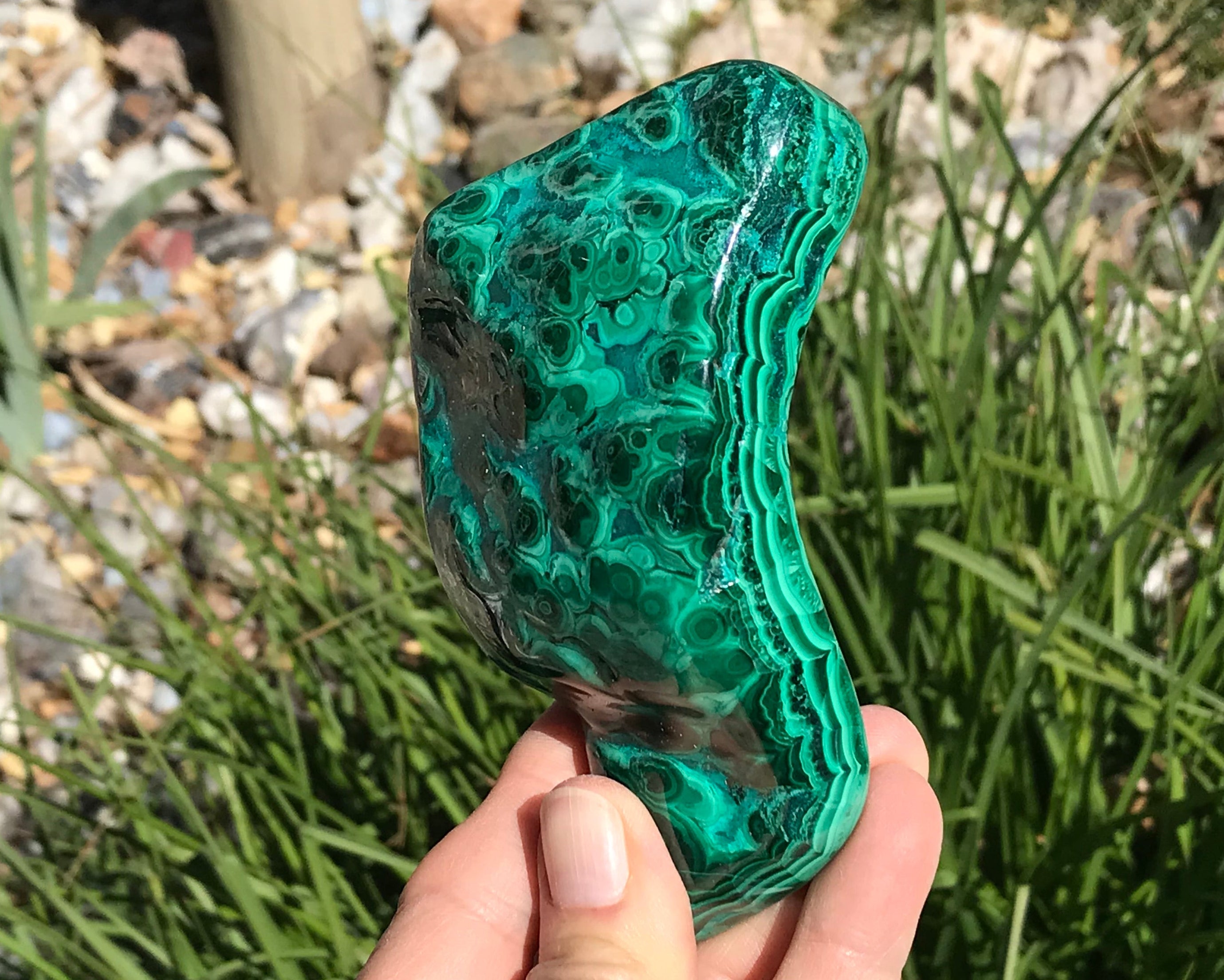 Detailed Turquoise and Green Malachite/Chrysocolla Nodule