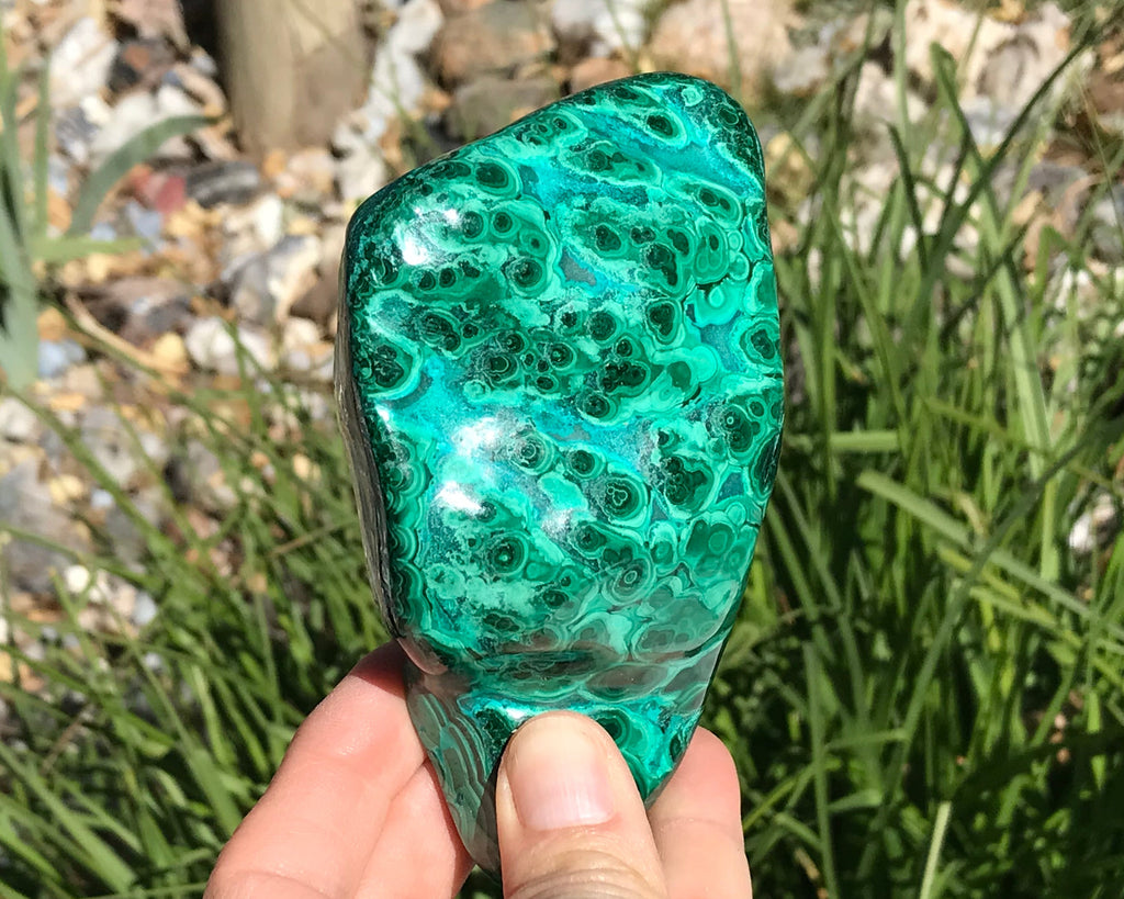 Detailed Turquoise and Green Malachite/Chrysocolla Nodule