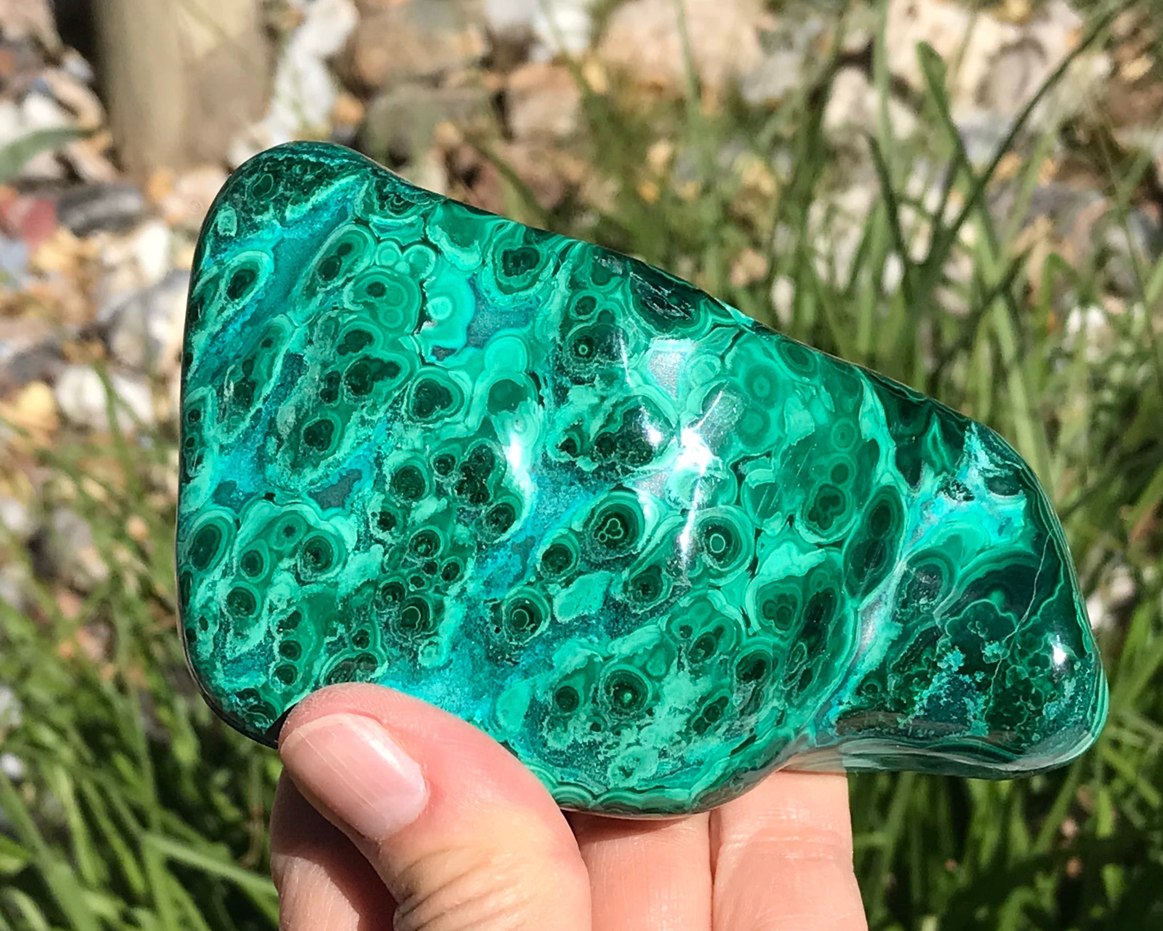 Detailed Turquoise and Green Malachite/Chrysocolla Nodule