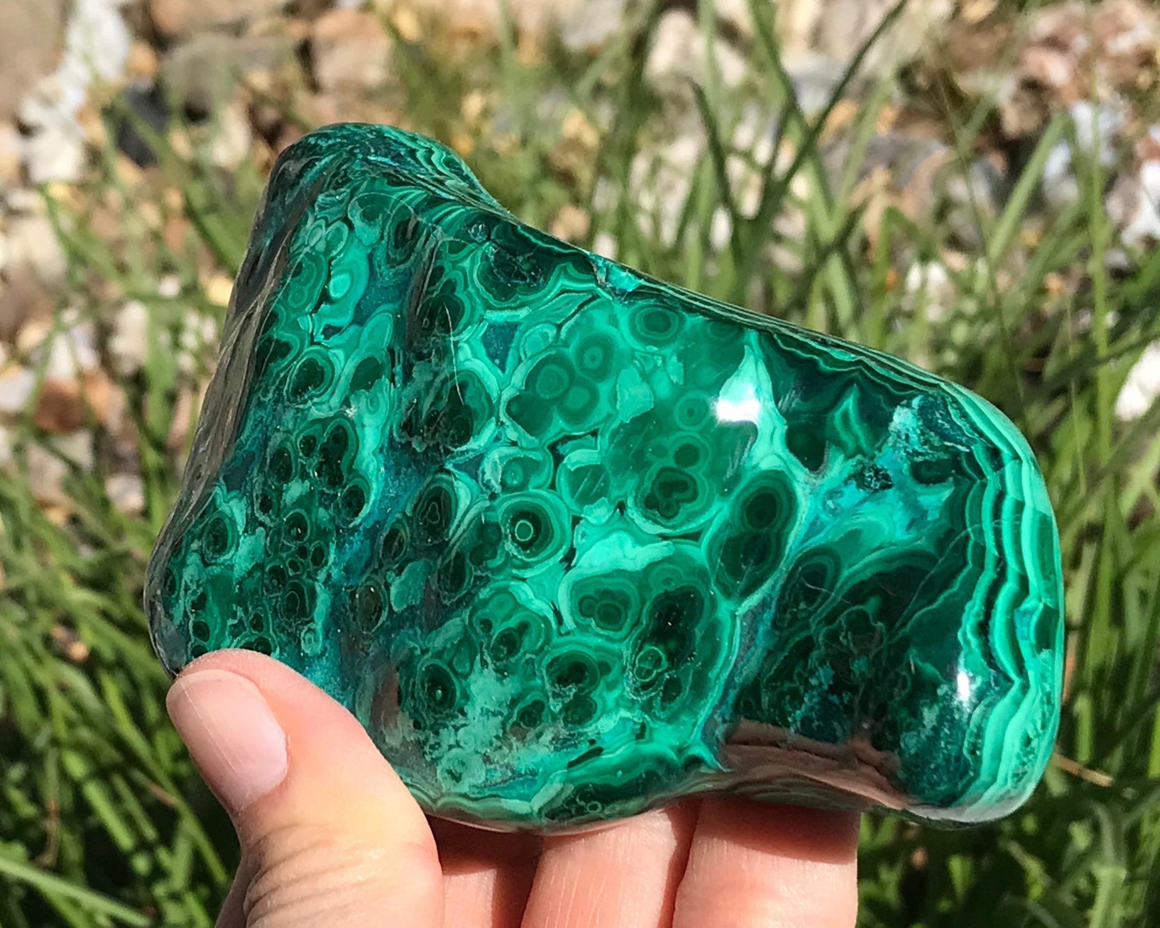 Detailed Turquoise and Green Malachite/Chrysocolla Nodule