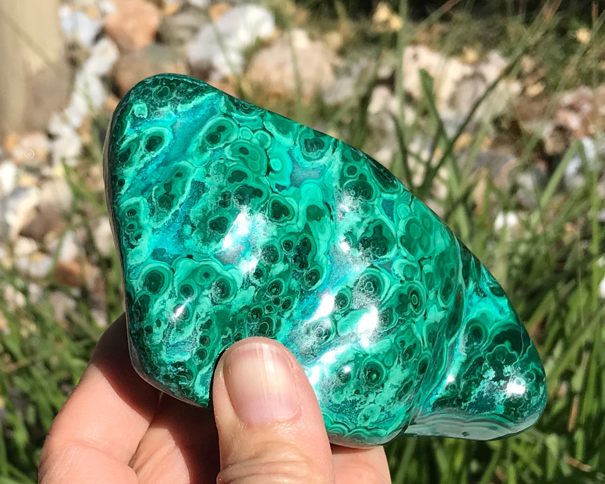 Detailed Turquoise and Green Malachite/Chrysocolla Nodule