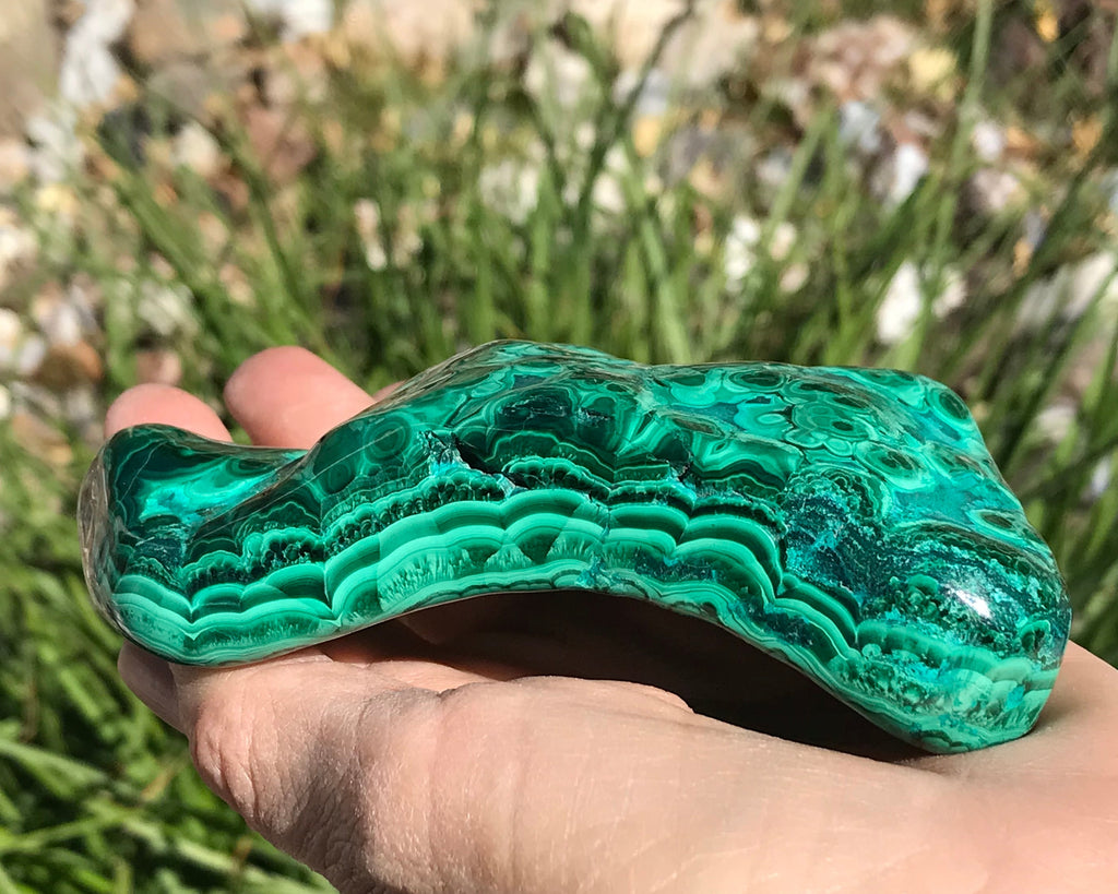 Detailed Turquoise and Green Malachite/Chrysocolla Nodule