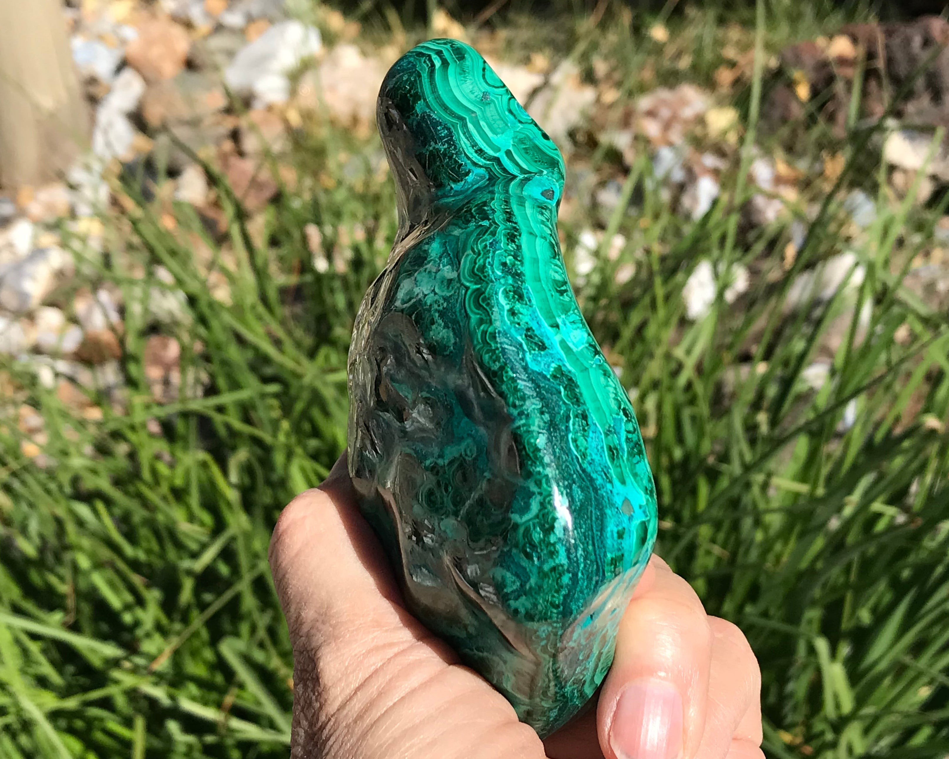 Detailed Turquoise and Green Malachite/Chrysocolla Nodule