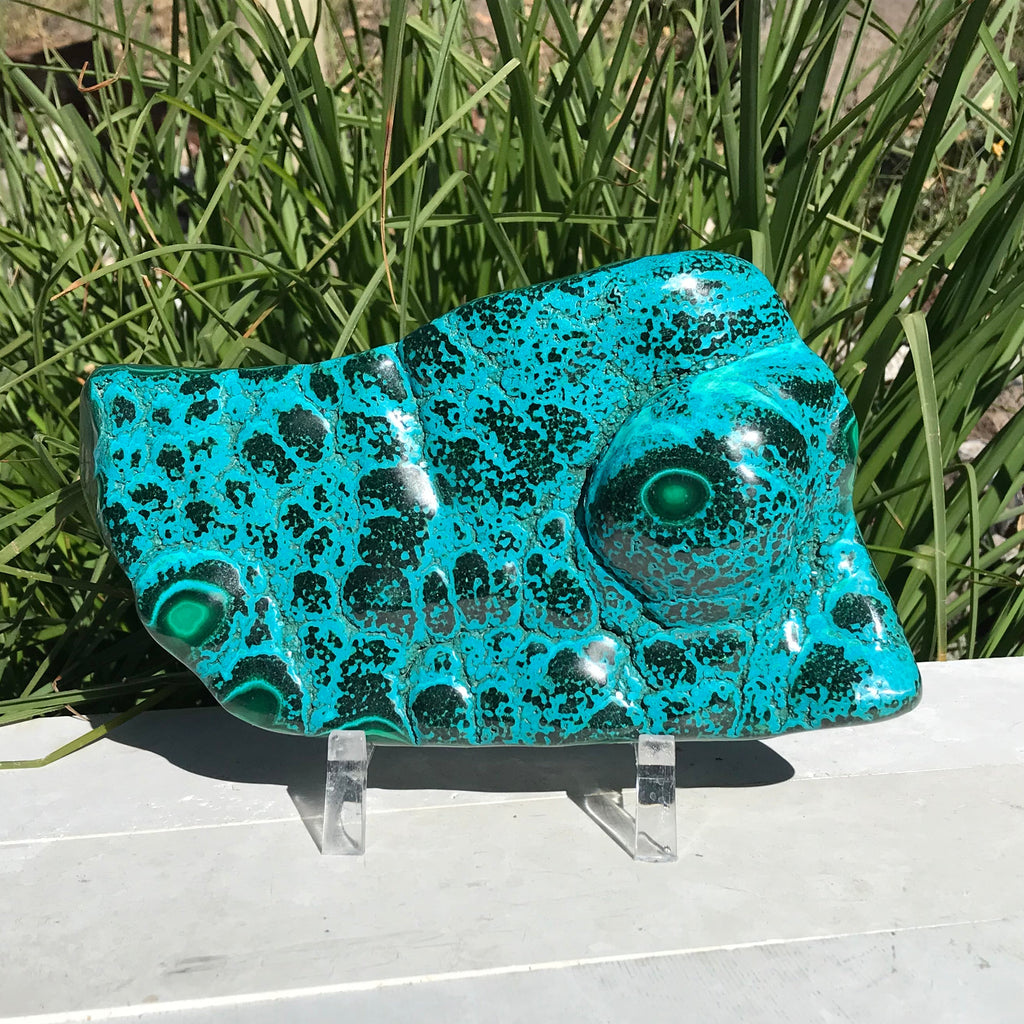 Polished Malachite/Chrysocolla Plate