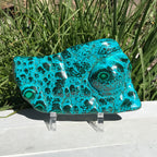 Polished Malachite/Chrysocolla Plate