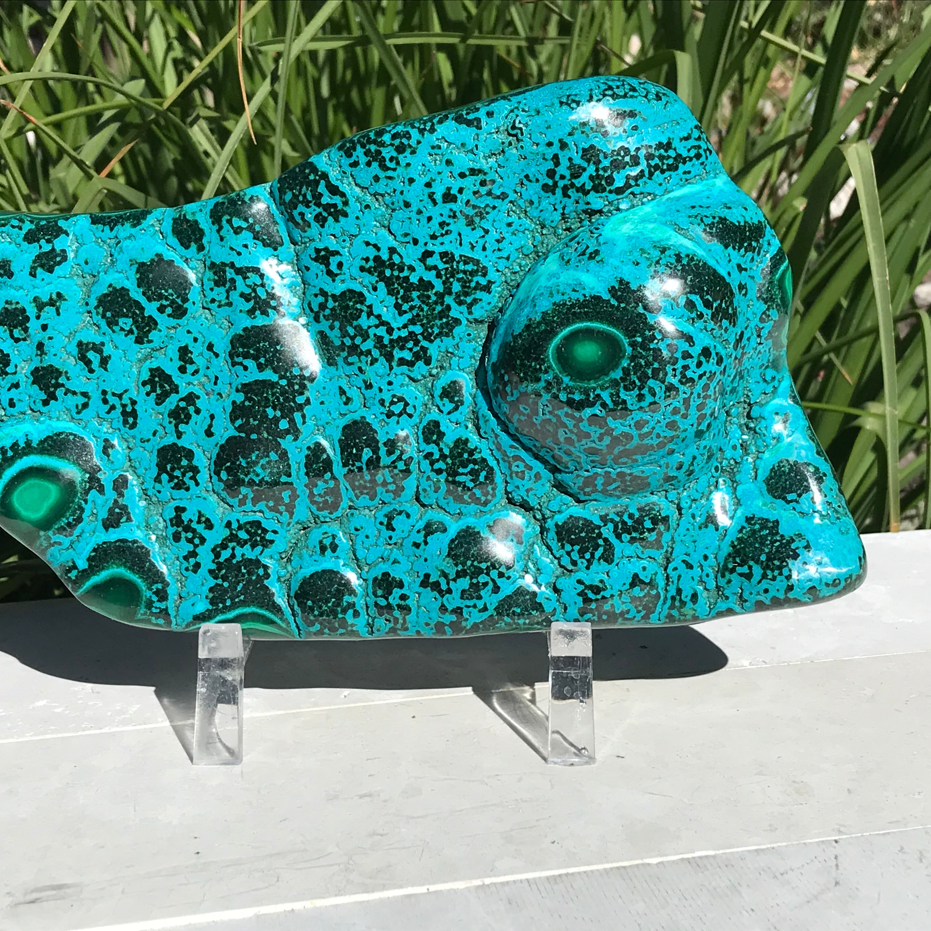 Polished Malachite/Chrysocolla Plate