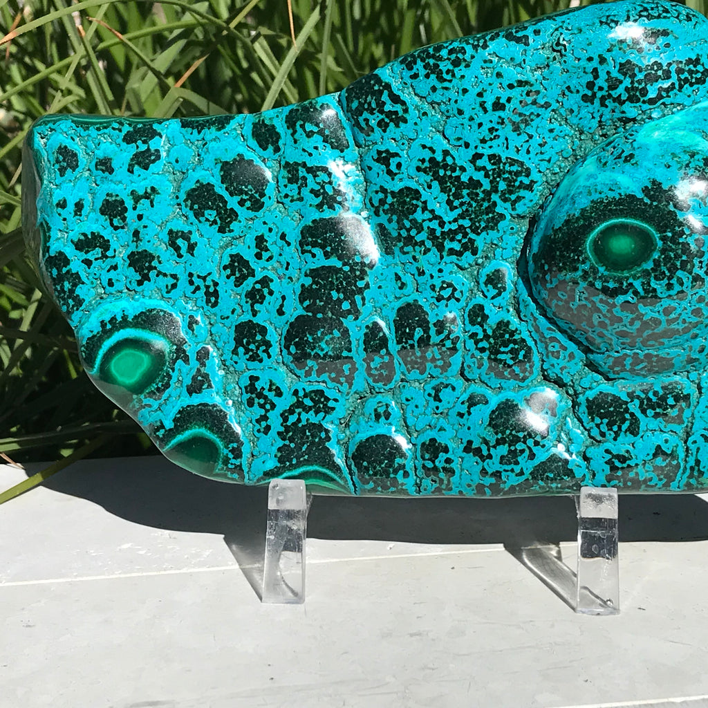 Polished Malachite/Chrysocolla Plate