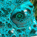 Polished Malachite/Chrysocolla Plate