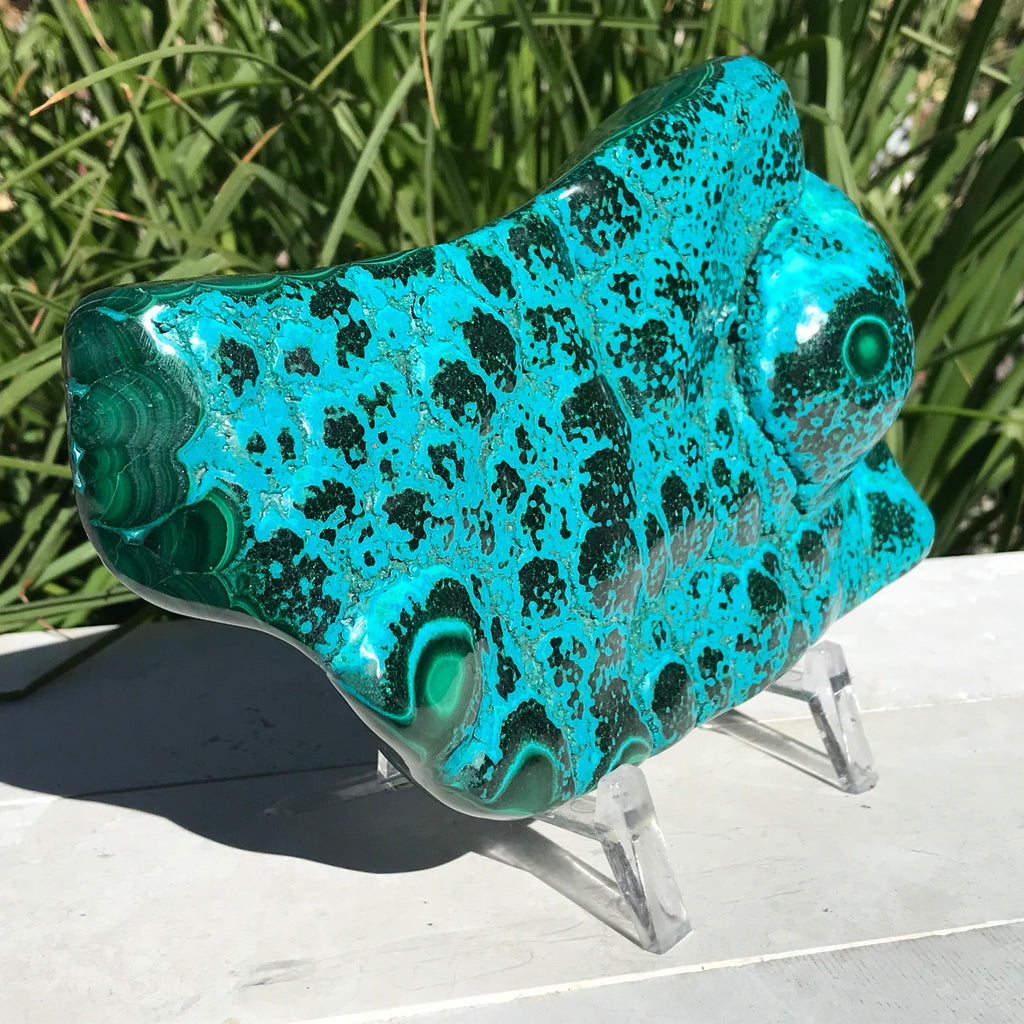 Polished Malachite/Chrysocolla Plate