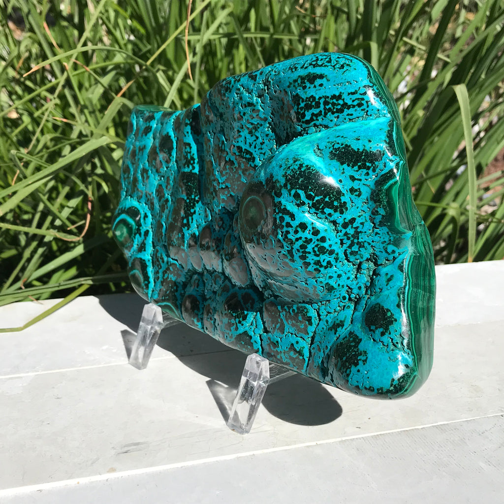 Polished Malachite/Chrysocolla Plate